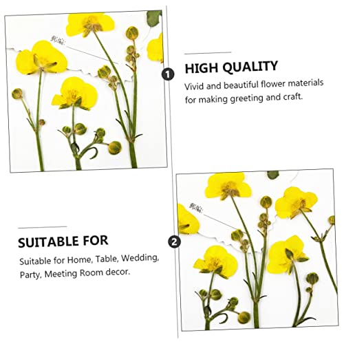 SEWACC 24 Pçs Botão De Com Ramos Acessórios Para Unhas Acessórios Para Joias Flores Secas Para Resin