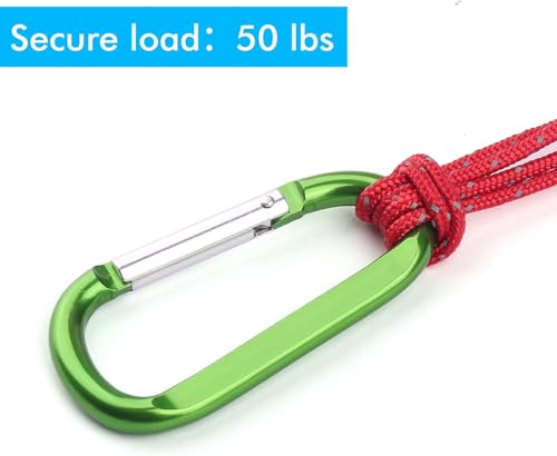 Image of CampTek Carabiner Caribeaner Clip,3 inch Large Aluminum D Ring Shape Carabeaner with Keyring Keychain Hook