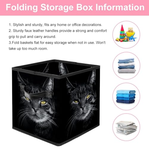 Boîte de rangement pliable chat gris pour placard et chambre - 4