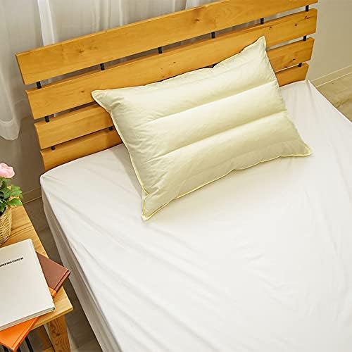 iCg pCvH 43×63cm zei 100%