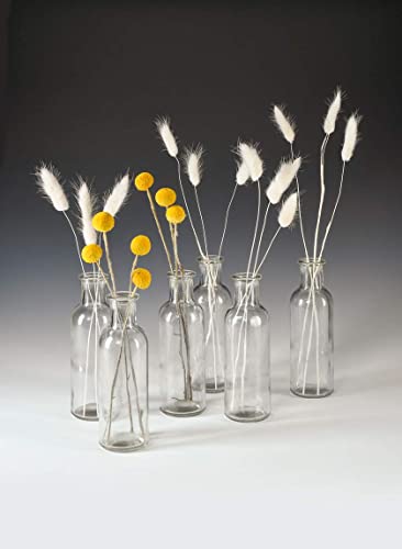 Serene Spaces Living Clear Glass Bud Vases – Vintage Apothecary Jars, Decorative Bottles for Weddings, Antique-Style Centerpieces, and Flower Arrangements - Set of 6 (6.5" Tall & 2" Diameter) - Thumbnail 7