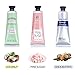 Body & Earth # Love Hand Cream Gift Set, Hand Lotion for Women, Christmas Gifts for Women, Travel Size Hand Lotion Set 3x2.0 oz, Shea Butter Argan Oil Vitamin E Moisturizing Hand Cream for Dry Hands