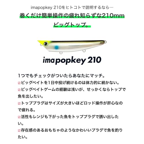 アムズデザイン(Ima) ルアー imapopkey 210 (アイマポッキー) #IP210-005 マットチャートOB 2枚目
