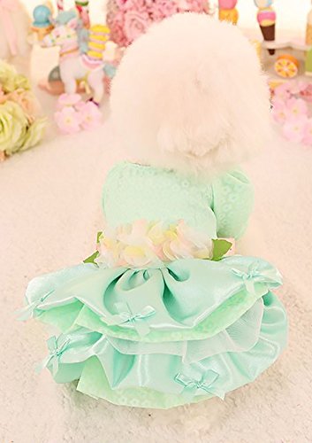 Marupet Elegant Princess Lace Flower Fairym Dress Silky Tutu With Bowknot For Small, Extra Small Dog Teddy, Pug, Chihuahua, Shih Tzu, Yorkshire Terriers Green Xl #TOP5