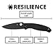 Spyderco Resilience Lightweight Knife with Black Stainless Steel Blade and Durable Black FRN Handle - PlainEdge - C142PBBK