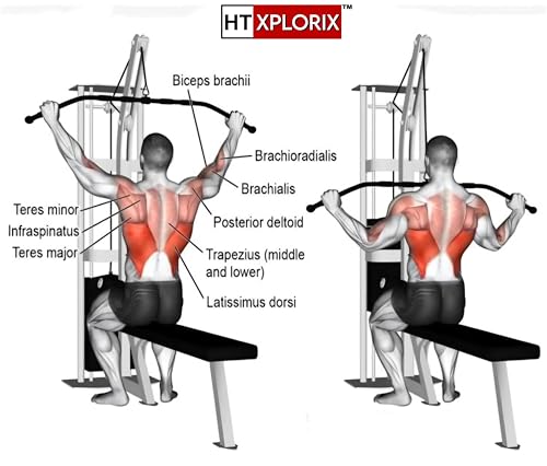 Image of LAT Pull Down Bar 46-Inch - Straight Bar Cable Attachment for Back & Upper Body Strength Training