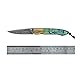 ALBATROSS Pocket Knife Abalone Seashells 7'' Modern Damascus Steel Knife Cupronickel Connector Liner Lock Folding Knife Gift Box - HGDK012B