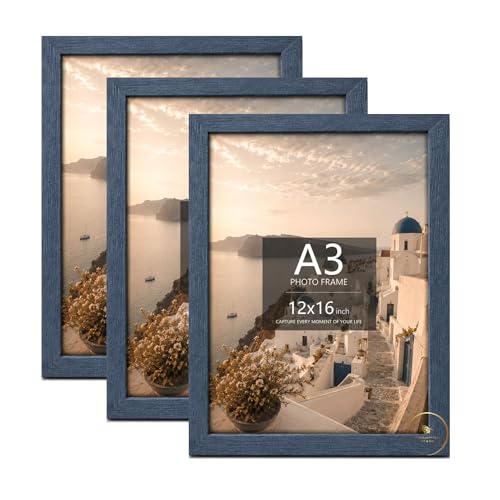 Image of AbhiKalpya Art Studio A3 size Photo Frame 12x16 Inch Blue Empty Acrylic Front Photo Frame (Blue) (Set of 3)