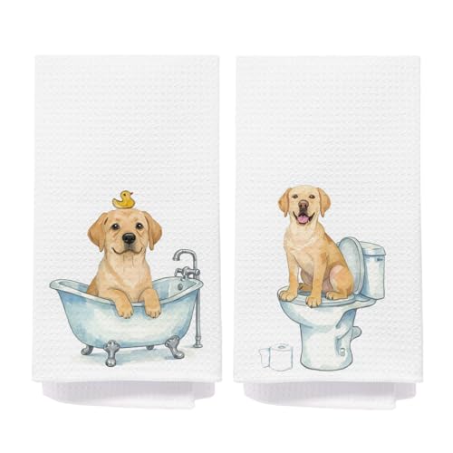 IAFQWDS Labrador Retriever Bathroom Hand Towels, Labrador Gifts for Lovers Women, Kids Bathroom Decor, Yellow Lab Gifts Decorative Hand Towels for Bath Room Washroom, 16x24 Inch Set of 2