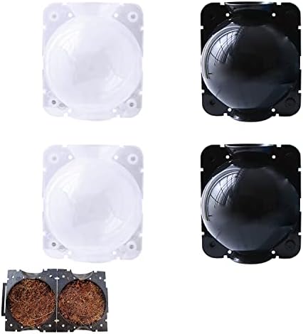 Scatola Di Cartone Con Piante Da Giardino Fotografia Stock - Immagine