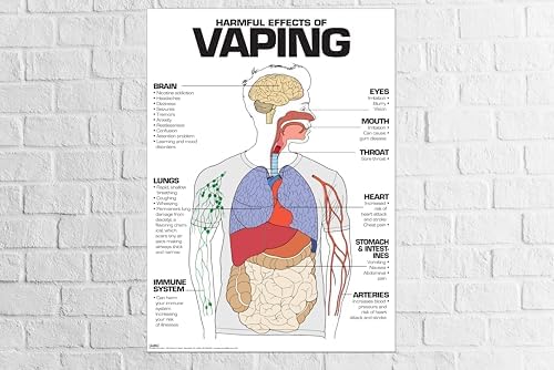 Effects of Vaping on the Body Poster (20x26 Laminated) – Educational ...