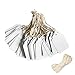 Marking Tags with String, White Price Tags with String Attached,Tags Display Label with Hanging String for Product Jewelry Clothing Sale Price Tags,1.7 x 2.76 inch,Pack of 100 Pieces