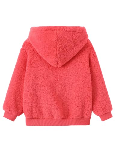 Image of Disney Girl /Boy Fleece Jacket Zipper Sherpa Fuzzy Hoodie Winter Coat 2-13Y
