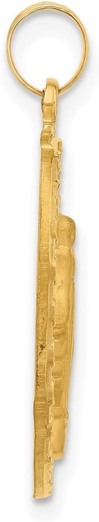 JewelryWeb 14.4mm 14k Yellow Gold Satin and Polished Immaculate Conception Medal Oval Solid Pendant Necklace Pendant for Women - Image 3