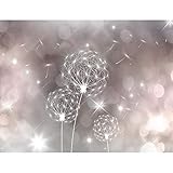 BESTE QUALITÄT: fotorealistische Motive mit lichtechten, lebendigen Farben und hoher Farbbrillanz. Ökologisches Druckverfahren, geruchsfrei, geeignet für Kinder- und Schlafzimmer