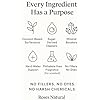 Patchouli Multipurpose Cleaner Concentrate, 36 oz | Plant-Based, Non-Toxic, Biodegradable | Streak-Free Cleaning for Kitchen, Bathroom, Glass & Floors, Made in the USA