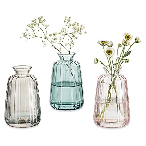 Jarrones De Vidrio para Flores Jarrón Pequeño Cover
