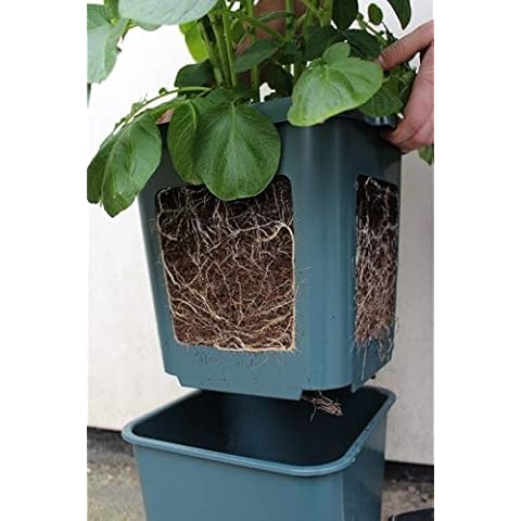 Agralan Potato Gro-Pot for Easy Gardening Cover