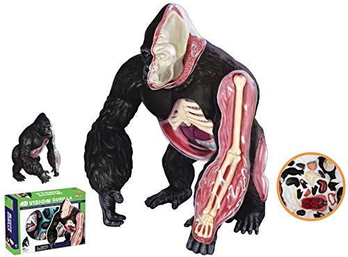 6 サイヘッド+ゴリラアームセット 身体 組 立 6 サイヘッド+ゴリラ