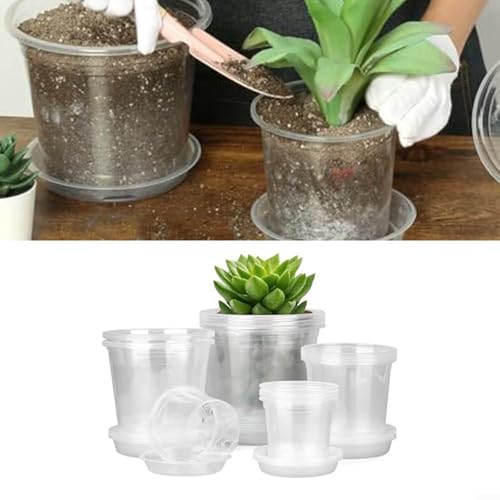 Pots de fleurs en plastique transparent pour observer et protéger vos orchidées