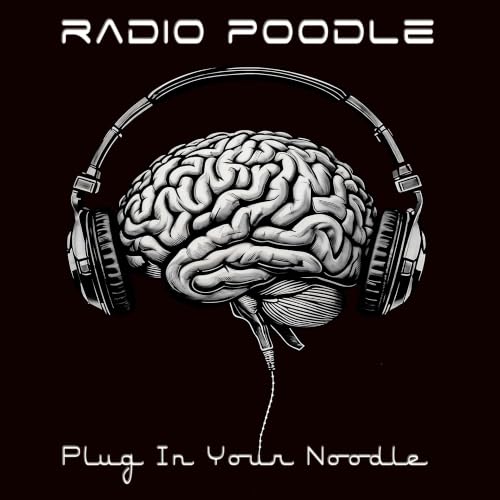 Couverture de Radio Poodle