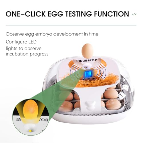 Incubadora de ovos com visor de umidade, aplicador de ovos de LED, virador automático de ovos, visão