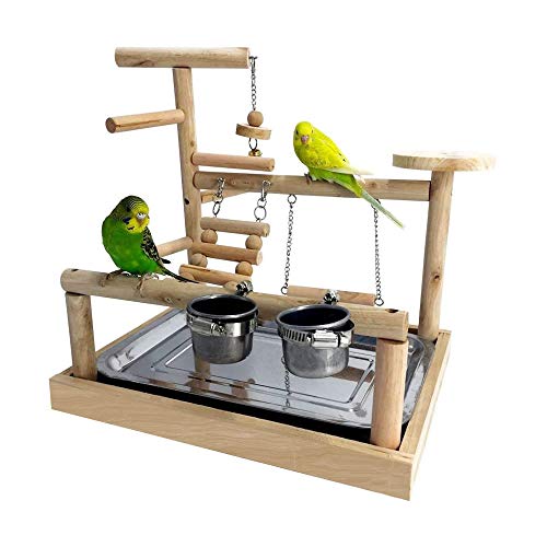 budgie activity centre