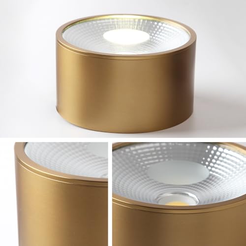Image of Sedelan Mini Brass Ceiling Spot Light, 4.33 Inch Small Flush Mount Fixture, 7W 4500K LED Cylinder Lamp, Modern Indoor Accent Light for Closet Hallway Staircase Bedroom