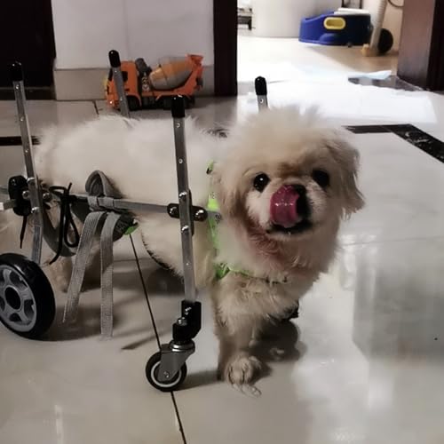 Silla de ruedas para perros pequeños y gatos con remolque para bicicleta de 4 ruedas
