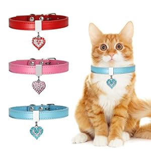 Cat Collars Leather Cat Collars for Girl Boy Male Cats,Adjustable Buckle Kitten Collar for Pet Supplies,Stuff,Accessories (M)