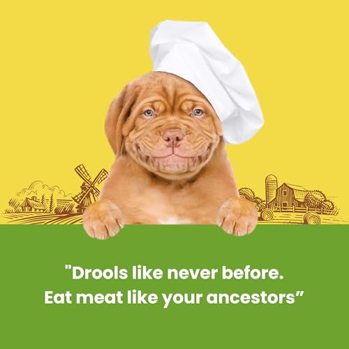 Image of Barkbutler x Dogfest Meat Sticks Rabbit, Dog Treat 45g| Protein Packed, Made with Natural Ingredients | 0% Artificial Flavours, Colours or Preservatives | Select Grade, for All Adult Breeds