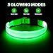 Illumifun Light Up Dog Collar, USB Rechargeable LED Dog Collar Glow in the Dark，Adjustable Pet Safety Lights for Night Walking (Green, Medium)