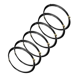 Eupdd 6 Rollen Bonsai Aluminiumdraht Schwarz