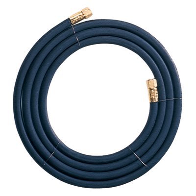 GOSS, HEF-10, 10' PROPANE HOSE B FTGS