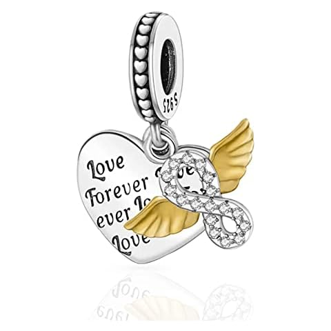 CZVIVIRY Love Forever Charm,Forever Friends Love Heart Charm for Bracelets Necklaces Pendants Infinite Sterling Silver Family Birthday Christmas Cover