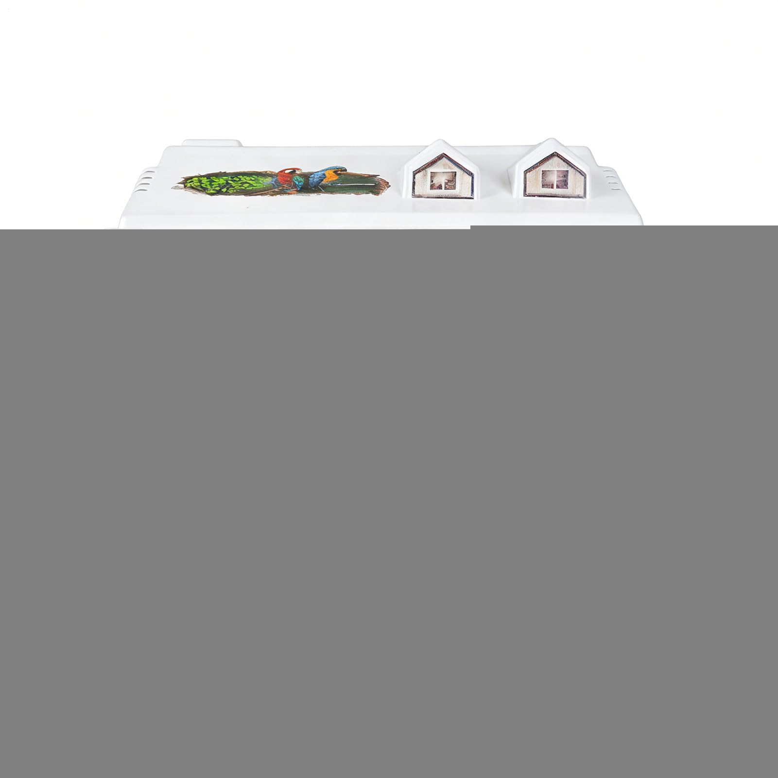 Jaula para Aves y Pájaros Hogar Portátil Transparente para Ninfas | Jaula Para Conuros Con Percha De Madera para en Interior para Cacatúas, Guacamayos, Conuros, Agapornis y Pinzones