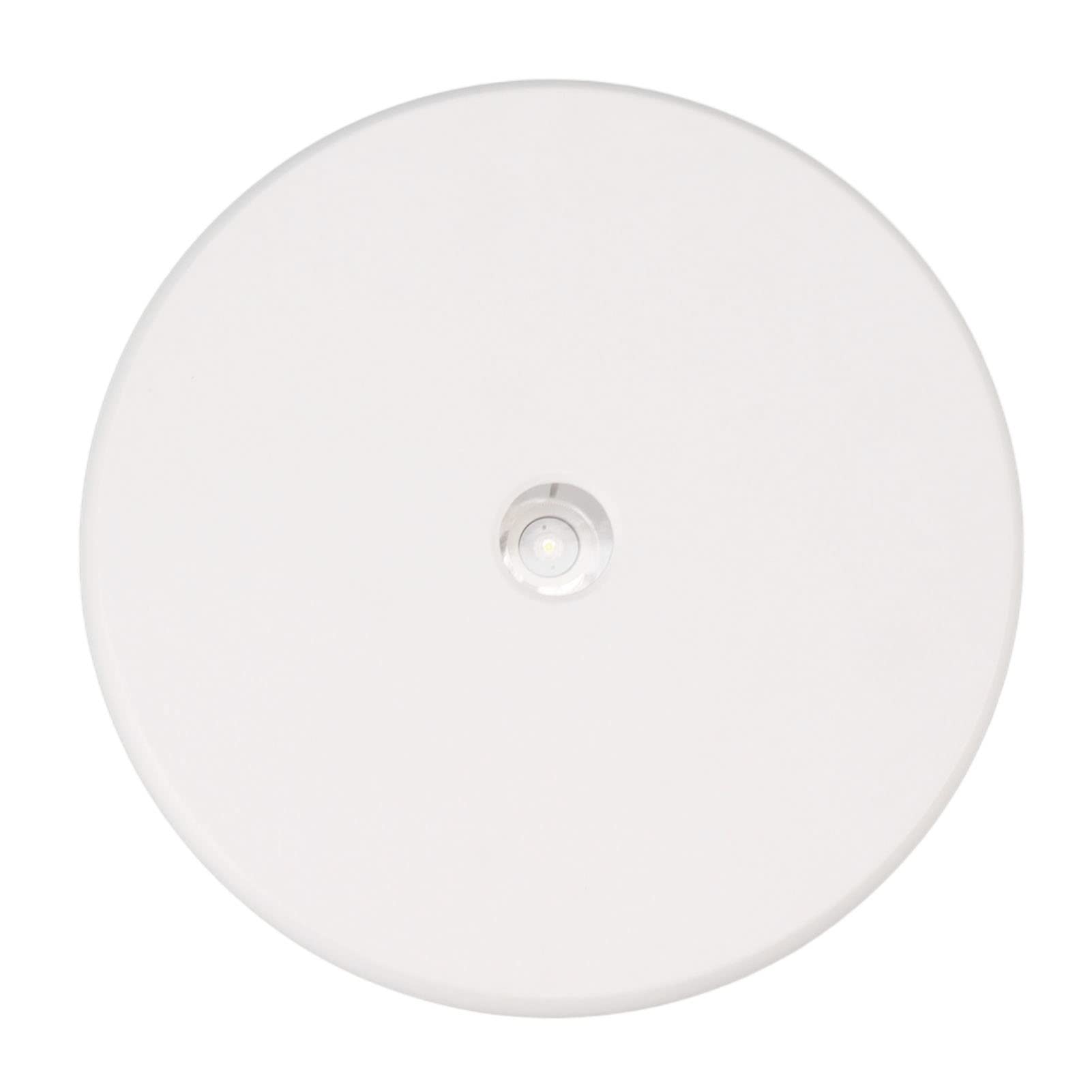Annadue Mesa de Exhibición Giratoria Eléctrica, Soporte de Exhibición con Luz LED, Soporte de Silencioso de 25cm con Capacidad de Carga de 20kg para Joyería (WHITE)
