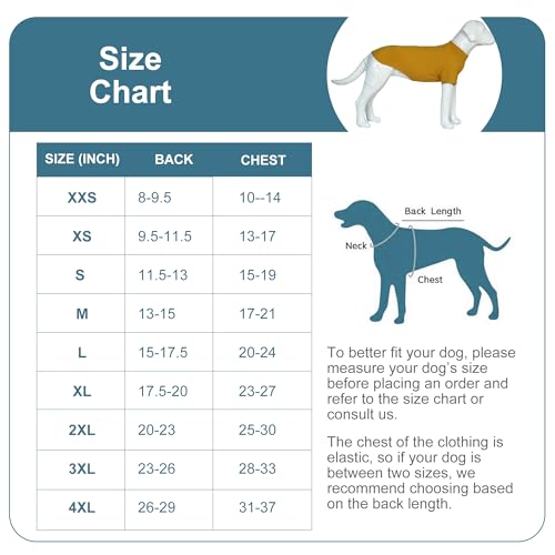 Vêtement extensible chiens respirant en coton doux de couleur vert sarcelle - 3
