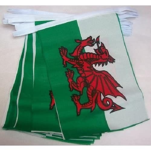 Image of AZ FLAG Wales 6 meters BUNTING Flag 20 flags 9'' x 6'' - Welsh STRING flags 15 x 21 cm
