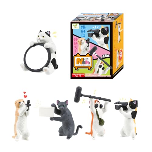 Idée cadeau originale avec cette boîte mystère et figurines de chat