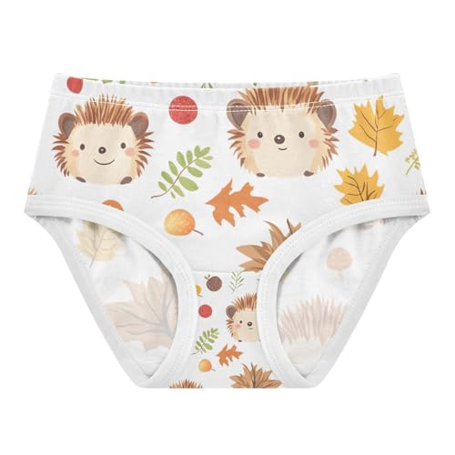 Girls' Underwear, Cute Hedgehogs White Toddler Panties, Girls' Cotton Brief Underwear, 2T–8 Years