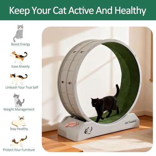 Refein Cat Exercise Wheel For Indoor - Plastic Cat Running Wheel With Silent Spinning & Safety Lock For Cats Fitness, Cats Treadmill With Carpeted Runway For Kitty's Health, Gray And Green - 5