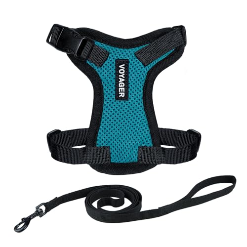 Image of Voyager Escape-Proof Step-in Lock Cat Harness & 5ft Neoprene-Handle Leash Set All-Weather Mesh with Reflective Stitching for Small to Large Cats by Best Pet Supplies, Turquoise /Black Trim, XS