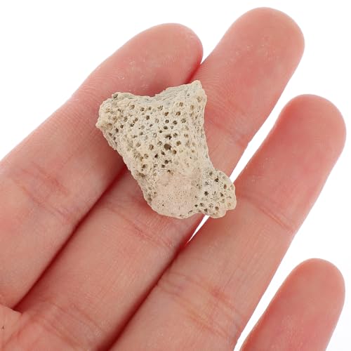 Filtre à corail concassé pour purification de l'eau d'aquarium - 5