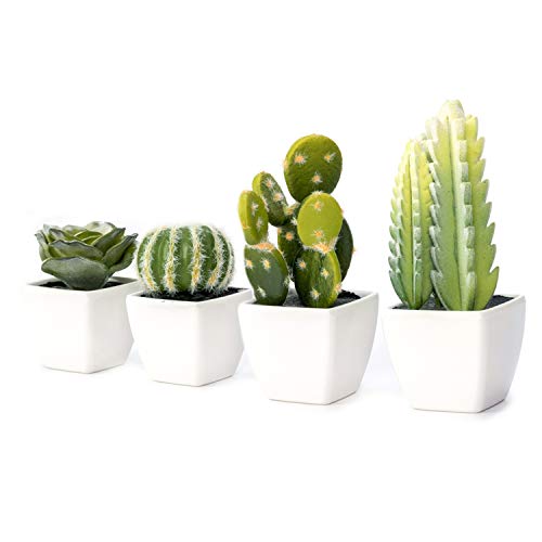 Nattol Artificial Mini Succulent & Cactus Plants In White Cube-Shaped Pots For Home Decor, Set Of 4 #TOP3