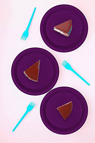 Decorrack 10 Large Plastic Plates, Heavy Duty 9 Inch Colored Plastic Dinner Plates, Disposable Party Ware For Kids Birthday, Cake Dessert Plates, Holiday Tableware, Purple (Pack Of 10) #TOP2