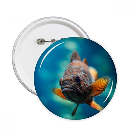 Badge rond petit poisson tropical XXL bouton décoratif marine pour vêtement