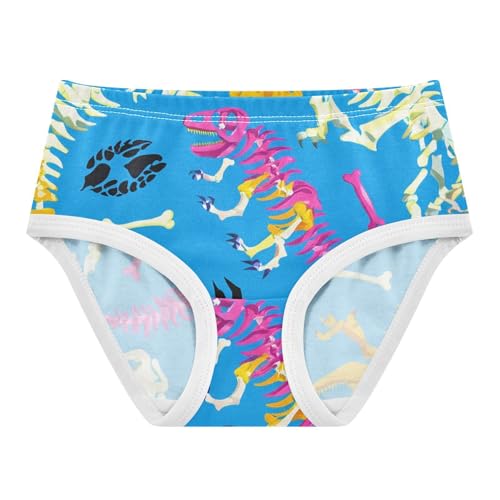 Dinosaur Skeletons Blue Toddler Underwear Custom 2t Cotton Little Girl Panties Print Briefs Girls Undies