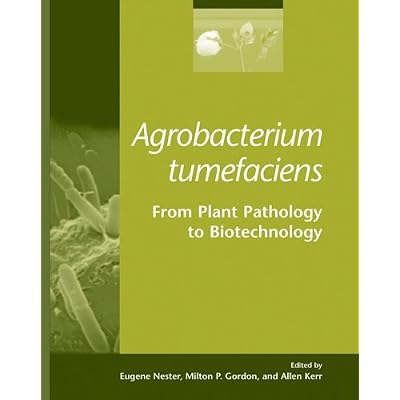 Agrobacterium Tumefaciens