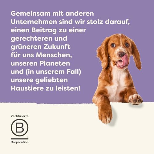 Applaws Taste Toppers 100% natürliche Wet Dog Food Topper, Grain Free Whitefish mit Lachs und Gemüse in Soße Beutel 12 x 85g Beutel